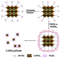 Graphical abstract: A universal synthesis strategy for stable CsPbX3@oxide core–shell nanoparticles through bridging ligands