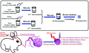 Graphical abstract: NIR-absorbing Prussian blue nanoparticles for transarterial infusion photothermal therapy of VX2 tumors implanted in rabbits