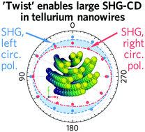 Graphical abstract: Intrinsic helical twist and chirality in ultrathin tellurium nanowires