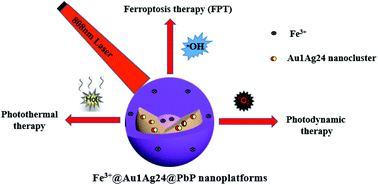 Graphical abstract: An effective NIR laser/tumor-microenvironment co-responsive cancer theranostic nanoplatform with multi-modal imaging and therapies