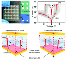 Graphical abstract: An ultrathin memristor based on a two-dimensional WS2/MoS2 heterojunction