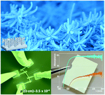 Graphical abstract: One-reactor vacuum and plasma synthesis of transparent conducting oxide nanotubes and nanotrees: from single wire conductivity to ultra-broadband perfect absorbers in the NIR