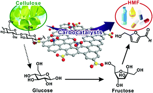 Graphical abstract: Metal-free bifunctional graphene oxide-based carbocatalysts toward reforming biomass from glucose to 5-hydroxymethylfurfural