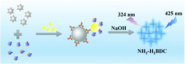 Graphical abstract: Double-site recognition of Staphylococcus aureus using a metal–organic framework material with an alkaline hydrolysis property as a sensitive fluorescent probe