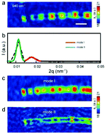 Graphical abstract: Unravelling the coupling of surface plasmons in carbon nanotubes by near-field nanoscopy