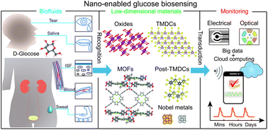 Graphical abstract: Low dimensional materials for glucose sensing