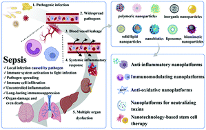 Graphical abstract: Recent advancements of nanomaterial-based therapeutic strategies toward sepsis: bacterial eradication, anti-inflammation, and immunomodulation