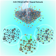 Graphical abstract: Tailoring unique neural-network-type carbon nanofibers inserted in CoP/NC polyhedra for robust hydrogen evolution reaction