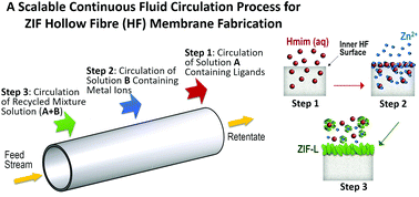 Graphical abstract: Facile fabrication of zeolitic imidazolate framework hollow fibre membranes via a novel scalable continuous fluid circulation process