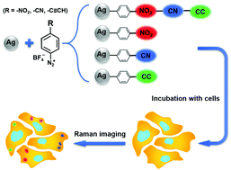 Graphical abstract: SERS tags derived from silver nanoparticles and aryl diazonium salts for cell Raman imaging