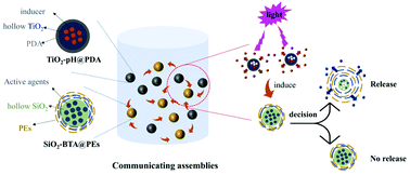 Graphical abstract: Communicating assemblies of biomimetic nanocapsules