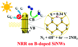 Graphical abstract: p-Block element-doped silicon nanowires for nitrogen reduction reaction: a DFT study
