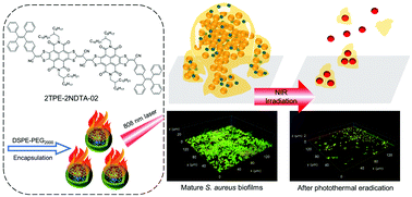 Graphical abstract: Highly efficient photothermal nanoparticles for the rapid eradication of bacterial biofilms