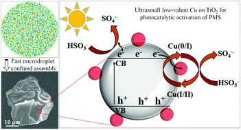 Graphical abstract: Microdroplet confined assembly enabling the scalable synthesis of titania supported ultrasmall low-valent copper catalysts for efficient photocatalytic activation of peroxymonosulfate