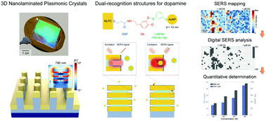 Graphical abstract: A digital SERS sensing platform using 3D nanolaminate plasmonic crystals coupled with Au nanoparticles for accurate quantitative detection of dopamine