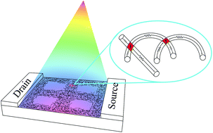 Graphical abstract: Tuning the electro-optical properties of nanowire networks