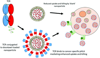Graphical abstract: Enhanced target-specific delivery of docetaxel-loaded nanoparticles using engineered T cell receptors