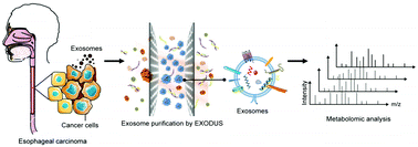 Graphical abstract: Metabolomic analysis of exosomal-markers in esophageal squamous cell carcinoma