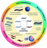 Graphical abstract: Preparation and applications of freestanding Janus nanosheets