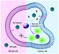 Graphical abstract: Supramolecular imaging of spermine in cancer cells