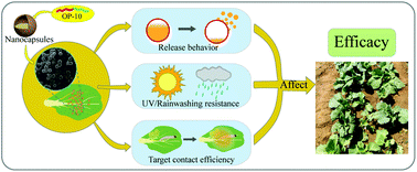 Graphical abstract: Using a reactive emulsifier to construct simple and convenient nanocapsules loaded with lambda-cyhalothrin to achieve efficient foliar delivery and insecticidal synergies