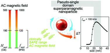 Graphical abstract: Pseudo-single domain colloidal superparamagnetic nanoparticles designed at a physiologically tolerable AC magnetic field for clinically safe hyperthermia