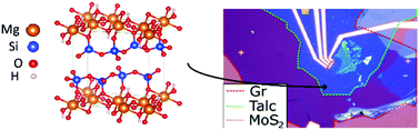 Graphical abstract: Electrical and optical properties of transition metal dichalcogenides on talc dielectrics