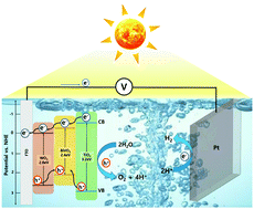 Graphical abstract: Photoelectrochemical H2 evolution on WO3/BiVO4 enabled by single-crystalline TiO2 overlayer modulations