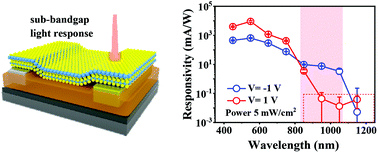Graphical abstract: High performance sub-bandgap photodetection via internal photoemission based on ideal metal/2D-material van der Waals Schottky interface