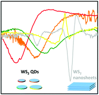 Graphical abstract: Observation of quantum-confined exciton states in monolayer WS2 quantum dots by ultrafast spectroscopy