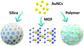Graphical abstract: Encapsulation of gold nanoclusters: stabilization and more