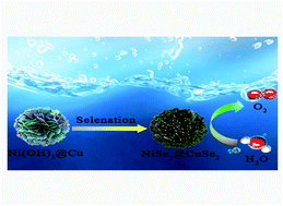Graphical abstract: Selenium-induced NiSe2@CuSe2 hierarchical heterostructure for efficient oxygen evolution reaction
