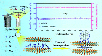 Graphical abstract: Modulation of MoS2 interlayer dynamics by in situ N-doped carbon intercalation for high-rate sodium-ion half/full batteries