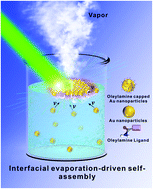 Graphical abstract: The impact of surface chemistry on the interfacial evaporation-driven self-assembly of thermoplasmonic gold nanoparticles