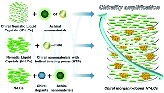 Graphical abstract: Amplifying inorganic chirality using liquid crystals