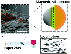 Graphical abstract: Locomotion of micromotors in paper chips