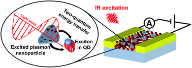 Graphical abstract: Plasmon–exciton interaction strongly increases the efficiency of a quantum dot-based near-infrared photodetector operating in the two-photon absorption mode under normal conditions