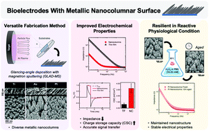 Graphical abstract: Effects of nanostructuration on the electrochemical performance of metallic bioelectrodes