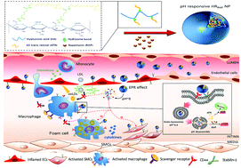 Graphical abstract: Targeted therapy of atherosclerosis by pH-sensitive hyaluronic acid nanoparticles co-delivering all-trans retinal and rapamycin