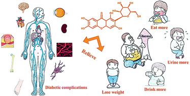 Graphical abstract: The management of diabetes mellitus by mangiferin: advances and prospects