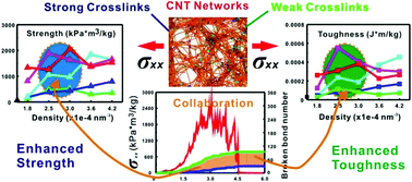 Graphical abstract: Hybridly double-crosslinked carbon nanotube networks with combined strength and toughness via cooperative energy dissipation