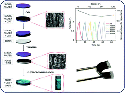 Graphical abstract: An easy to assemble PDMS/CNTs/PANI flexible supercapacitor with high energy-to-power density