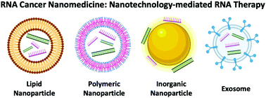 Graphical abstract: RNA cancer nanomedicine: nanotechnology-mediated RNA therapy