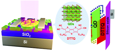 Graphical abstract: Photoelectric effect of hybrid ultraviolet-sensitized phototransistors from an n-type organic semiconductor and an all-inorganic perovskite quantum dot photosensitizer
