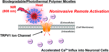 Graphical abstract: Noninvasive near-infrared light triggers the remote activation of thermo-responsive TRPV1 channels in neurons based on biodegradable/photothermal polymer micelles