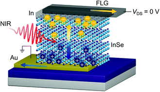 Graphical abstract: Zero power infrared sensing in 2D/3D-assembled heterogeneous graphene/In/InSe/Au