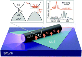 Graphical abstract: Tuning nanowire lasers via hybridization with two-dimensional materials