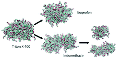 Graphical abstract: Impact of drug aggregation on the structural and dynamic properties of Triton X-100 micelles