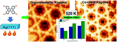 Graphical abstract: Selective synthesis of Kagome nanoporous graphene on Ag(111) via an organometallic template