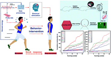 Graphical abstract: A self-powered wearable brain–machine-interface system for ceasing action